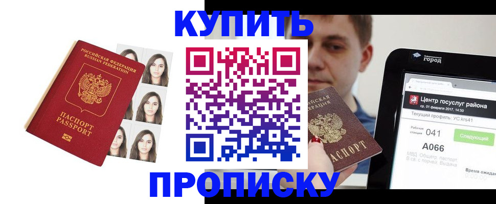 прописка иностранных граждан в Мончегорске